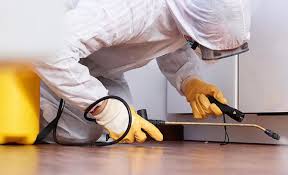 Best Termite Inspection and Treatment  in Folkston, GA